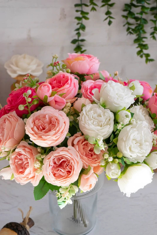 Juliet rose seedlings