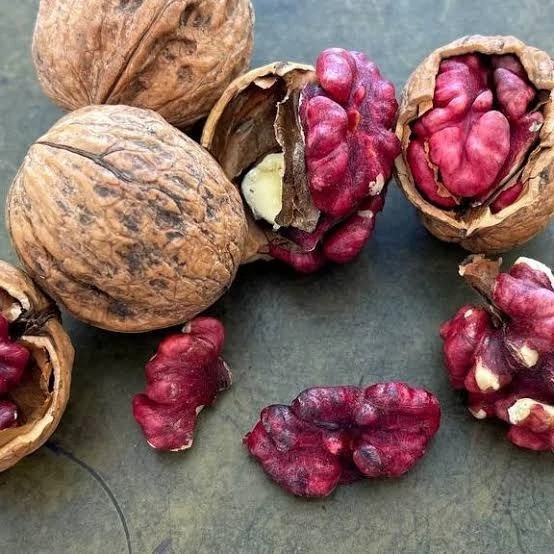 خرید نهال گردو تو سرخ کمیاب