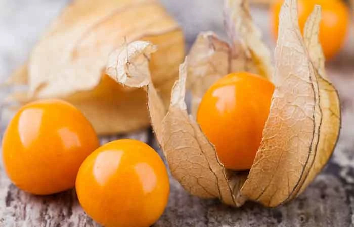 نهال فیسالیس