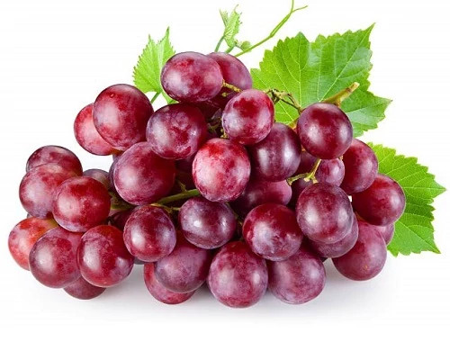 انگور یاقوتی