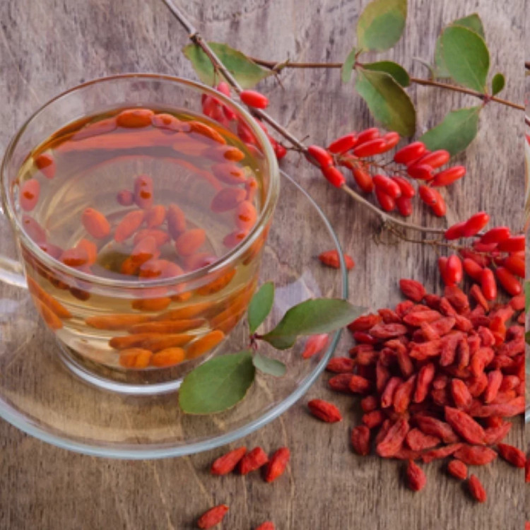 نهال گوجی بری چینی