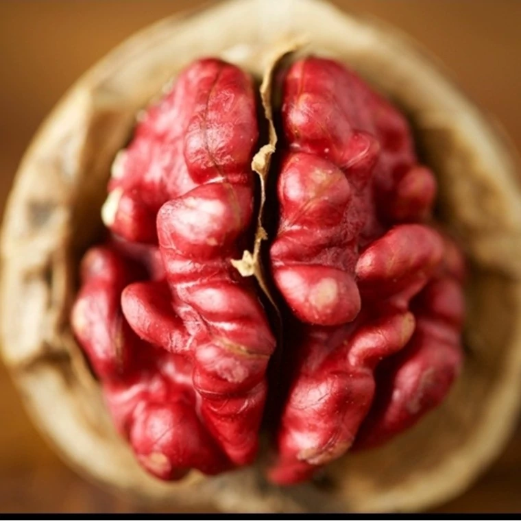 نهال گردو پیوندی تو قرمز