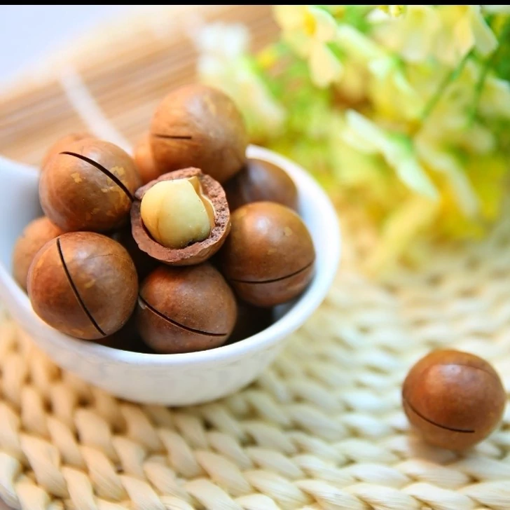 نهال فندق اونیس