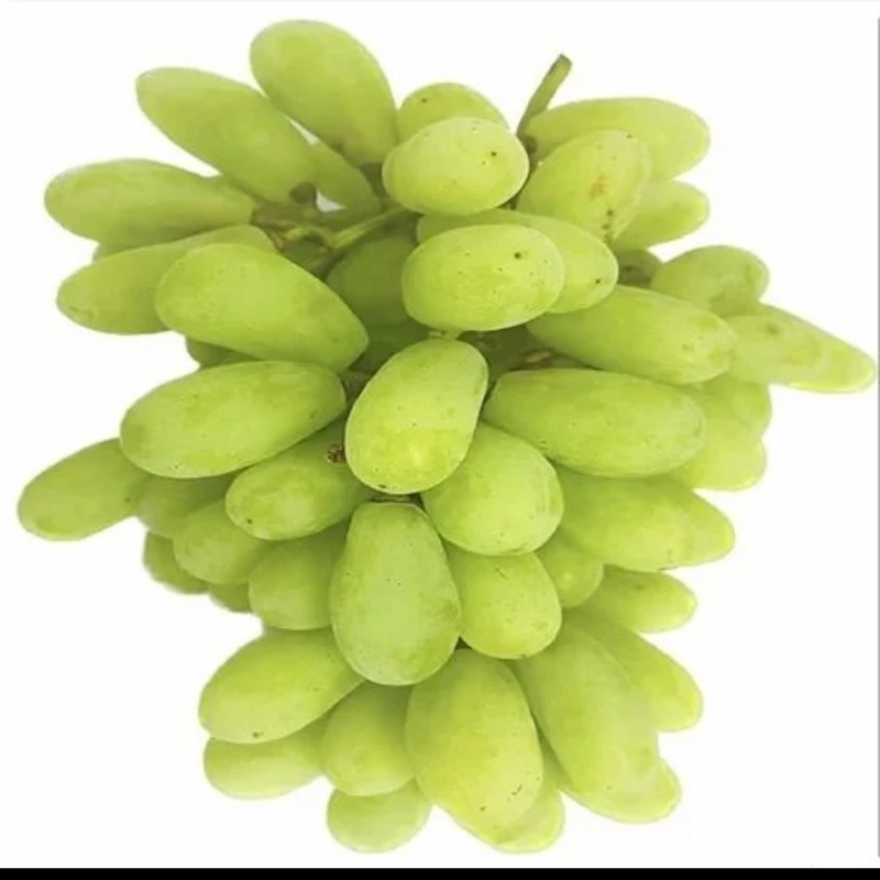 انگور سوپریور