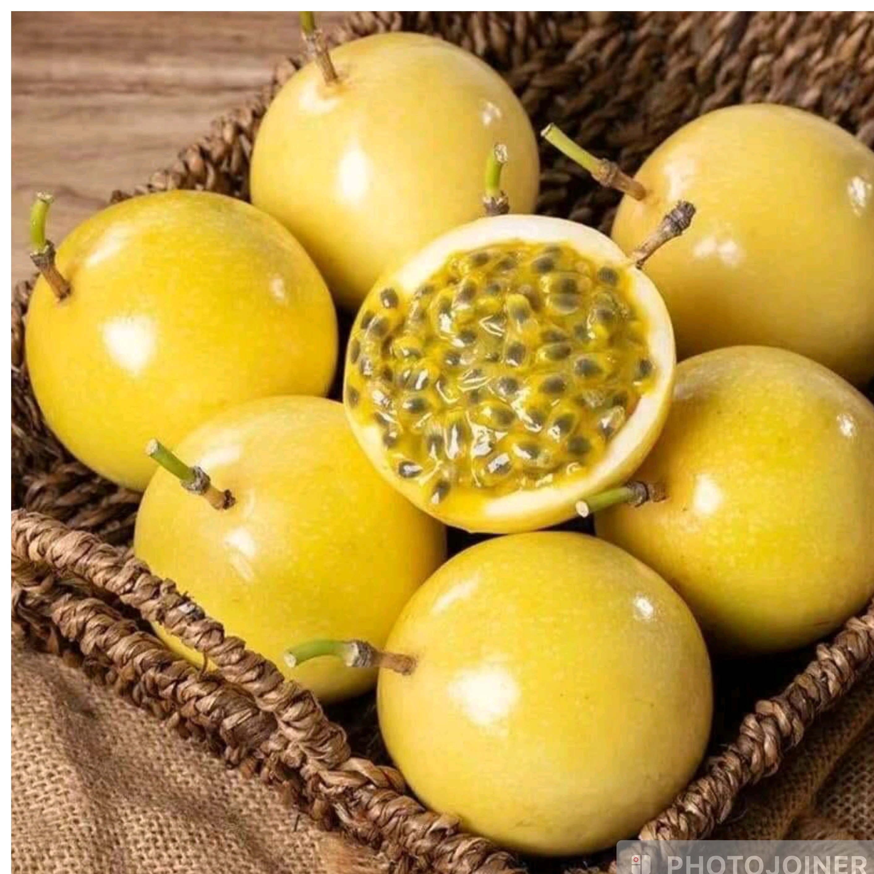 نهال پشن فروت گلد