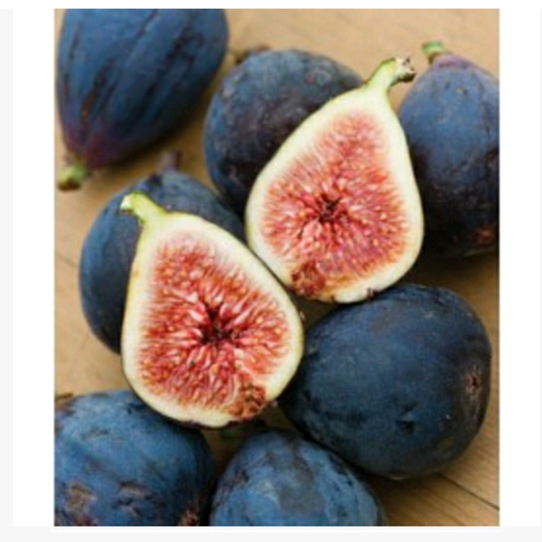 نهال انجیر سیاه